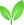 leaf icon
